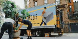 Experience Seamless Transitions with Bargain Express Movers