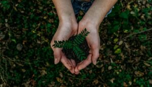 Safeguarding Tomorrow: The Evolution and Future of Environmental Stewardship with Insights from the Monastic Academy