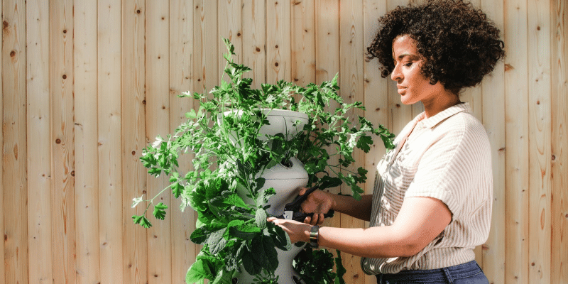 Exploring the Prospects of Starting a Gardening Business