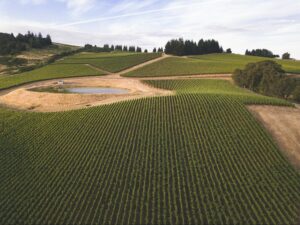 Advancing Global Agriculture with Premergy's Drone Technology