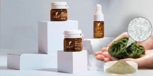 How SQT® Beauty Canada is Redefining Skincare