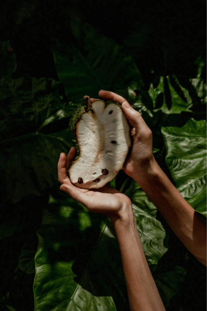 Discover Soursop: A Healthier Way to Manage Weight Naturally