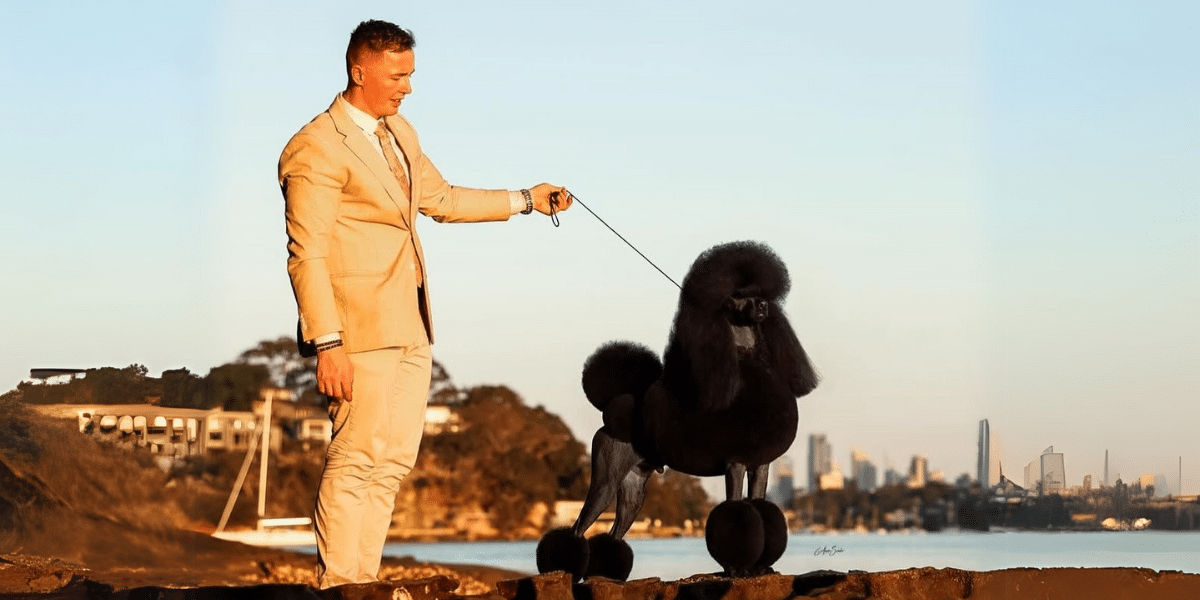 How James Bennett Built a Thriving Dog Grooming Business