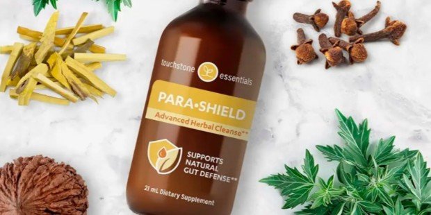 Para-Shield Gains Global Attention as a Natural Support for Gut Health