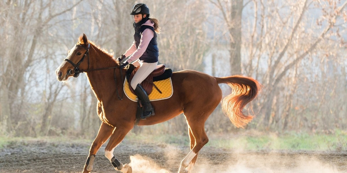 How Equestrian Sports Balance Heritage with Modern Needs
