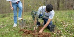 Brazil Begins Reforestation With International Support