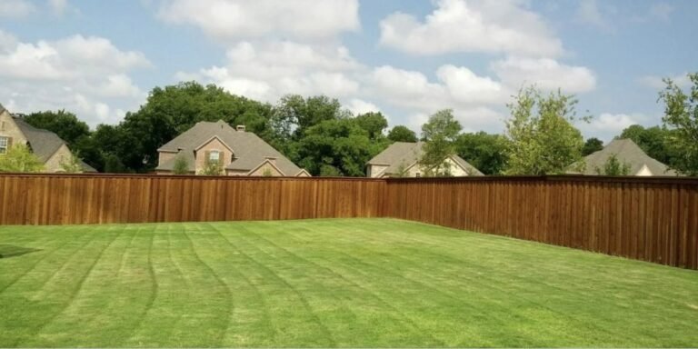 Dragons Landscaping Elevates Landscape Design Across North Texas