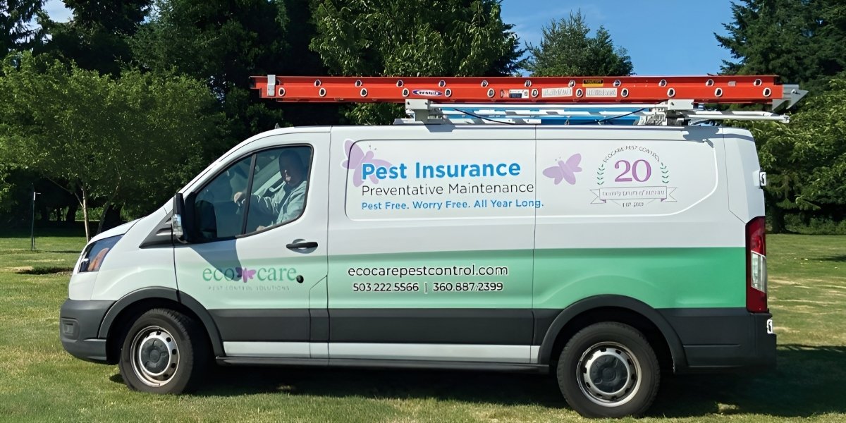 EcoCare Pest Control Offers Comprehensive Rodent Exclusion and Year-Round Pest Protection