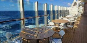 WHO Tracks Global Hantavirus Cases Across 12+ Countries After Cruise Ship Outbreak
