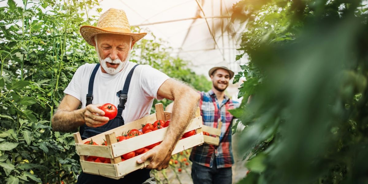 World Food Day 2026 Calls for Innovation as 645 Million People Still Face Hunger
