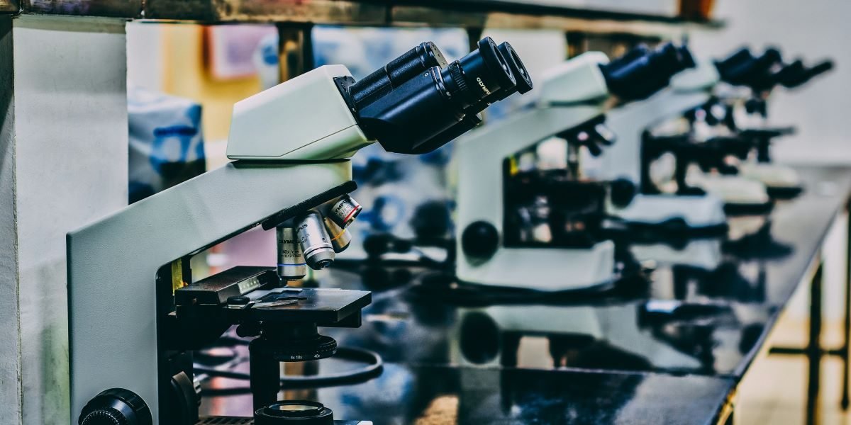 Optogenetics Pioneers Deisseroth, Hegemann and Nagel Win 2026 Nobel Prize in Physiology or Medicine